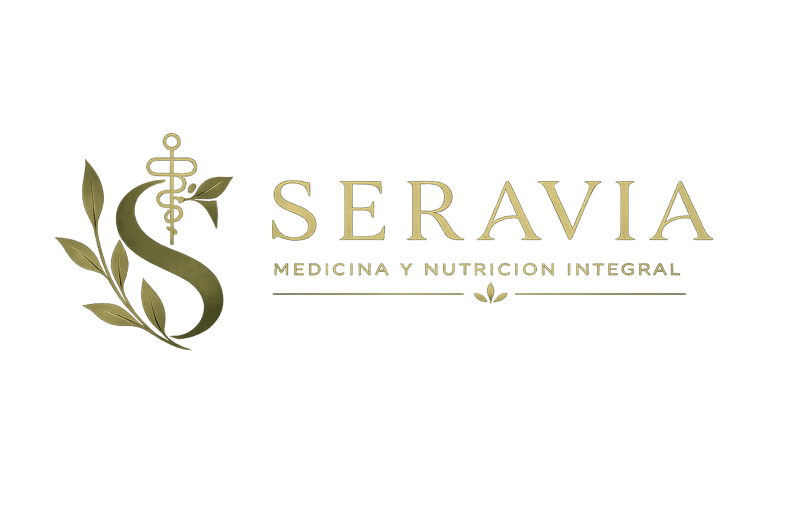 Logo de SERAVIA S.A.S.
